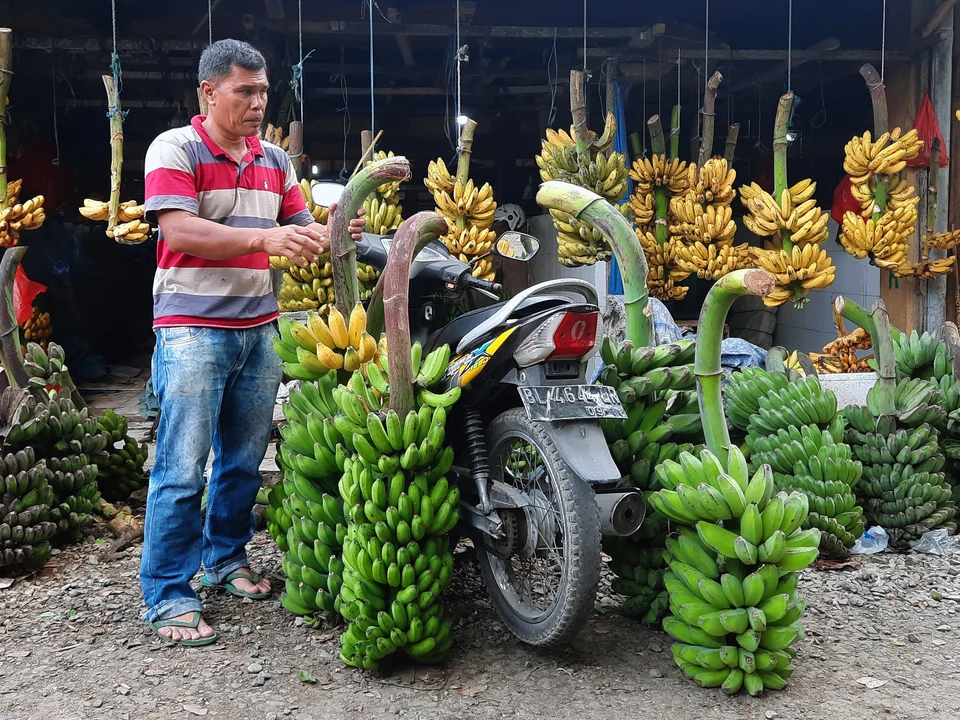 Pedagang hasil kebun di kawasan Pasar Lambaro