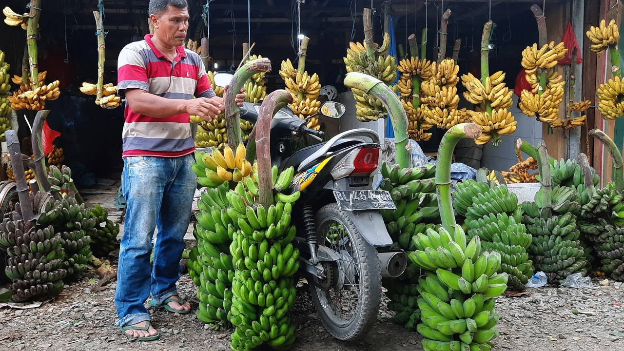 Pedagang hasil kebun di Pasar Lambaro